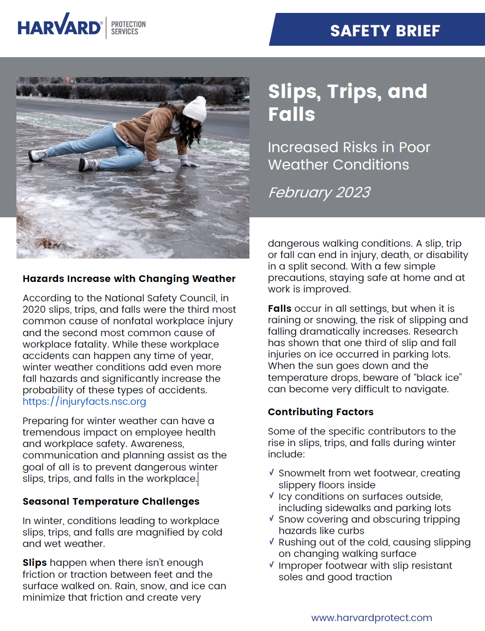 slips trips and falls newsletter