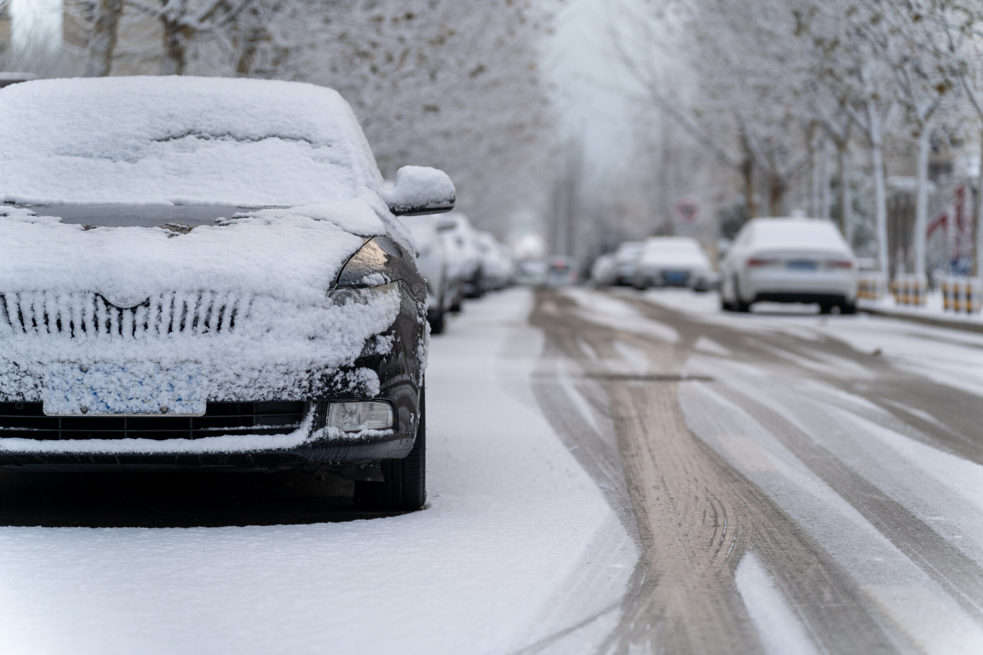 Snow-covered cars parked along a snowy, tree-lined street.