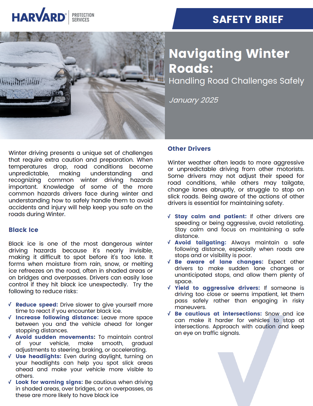 Safety brief on handling winter road challenges with tips for safe driving and managing black ice.